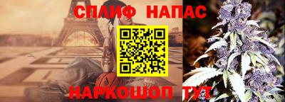 СК Конаково