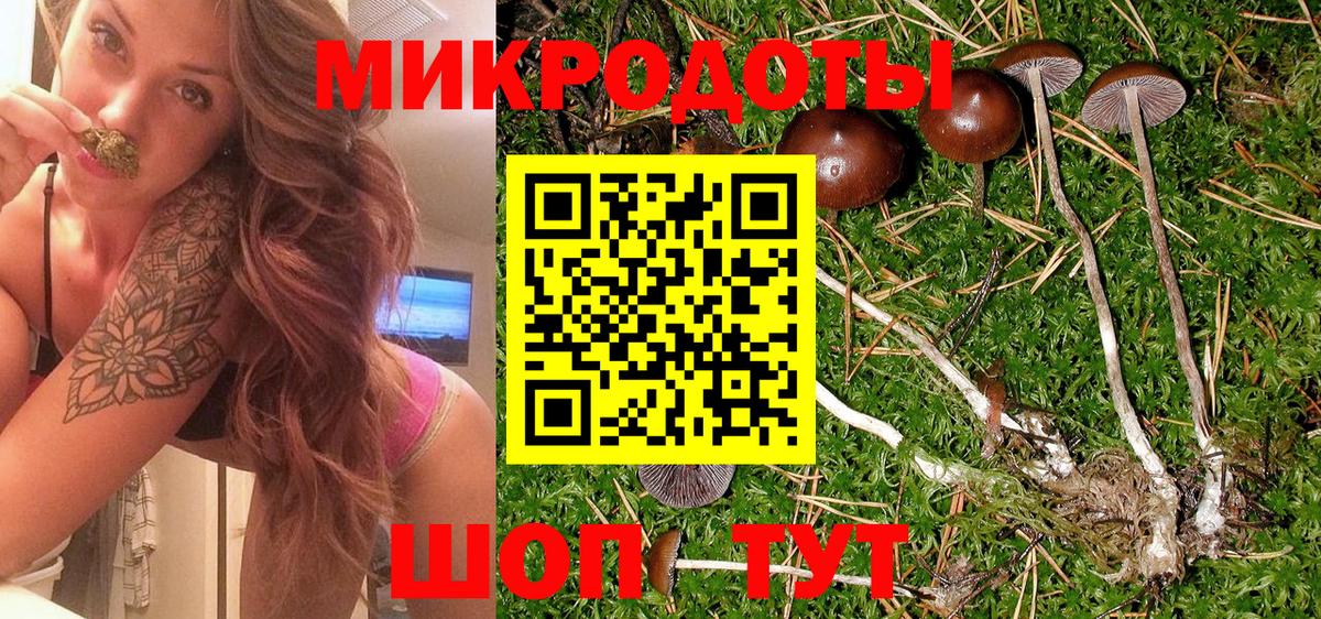 Псилоцибиновые грибы GOLDEN TEACHER Тайшет