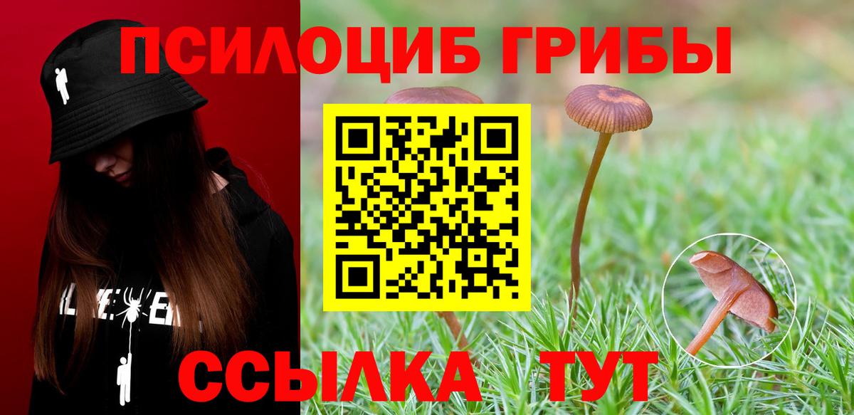 Галлюциногенные грибы GOLDEN TEACHER  Вход с VPN  Тайшет 